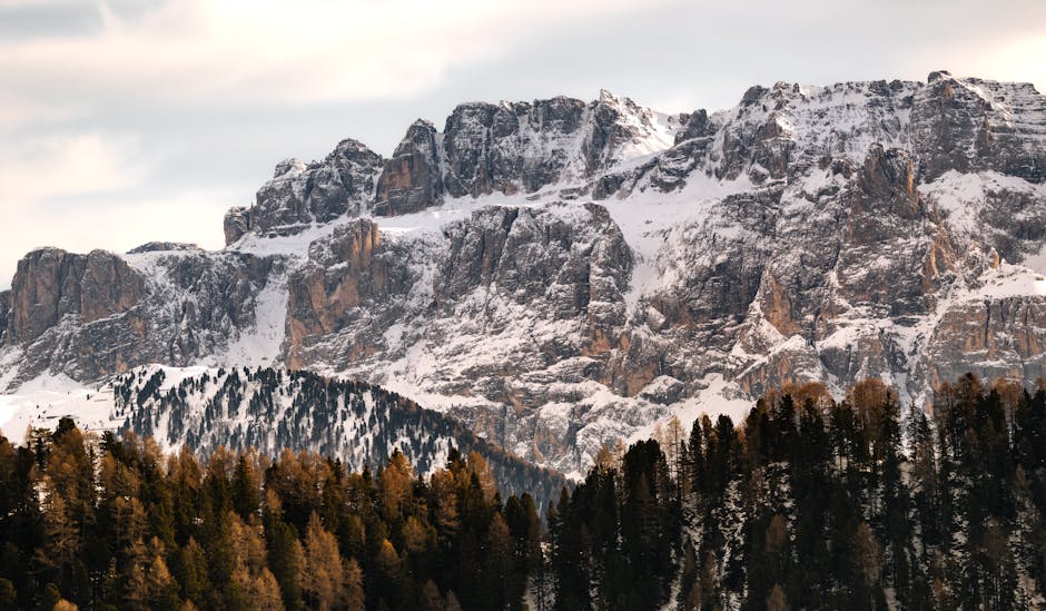 Hotels Hidden in the World’s Tallest Pines