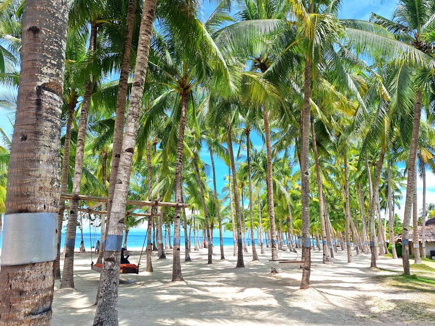 Hotels Surrounded by Coconut Groves and Beaches