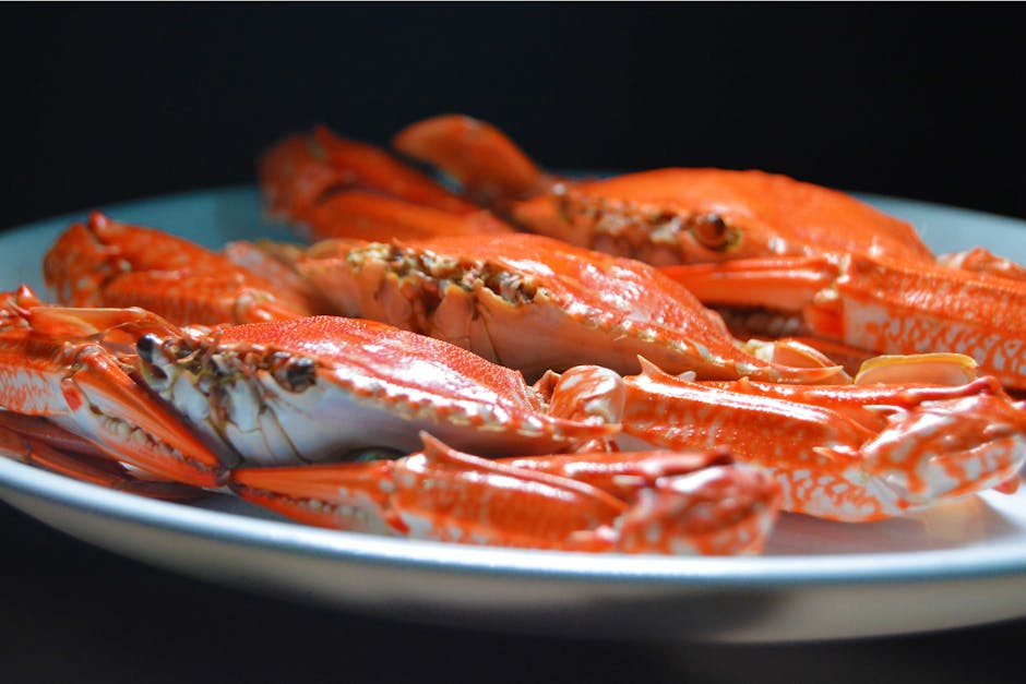 Resorts Offering Seafood From the Ocean to Your Plate