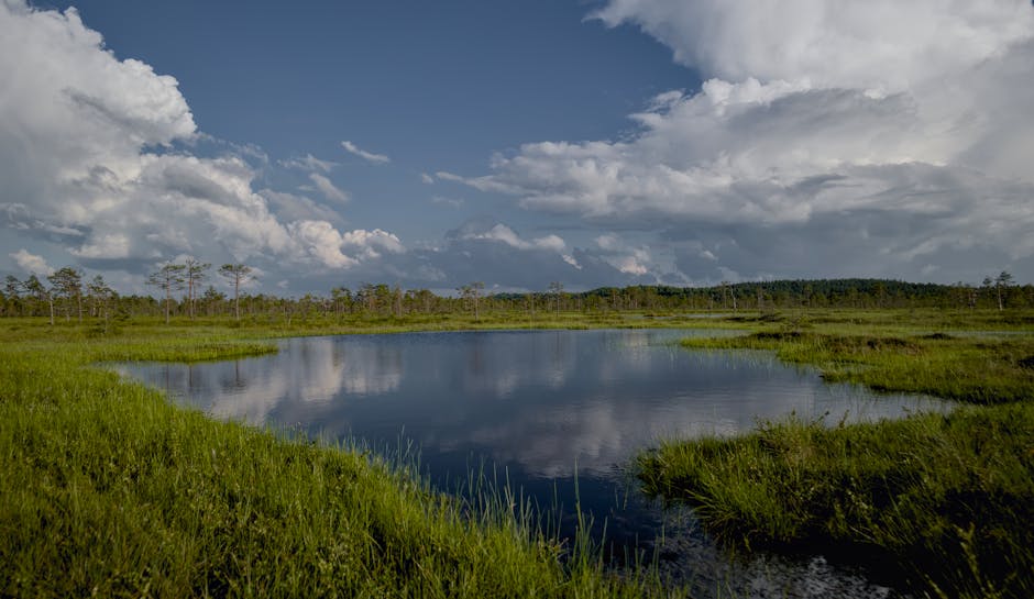 Resorts That Have Rewilding Conservation Projects
